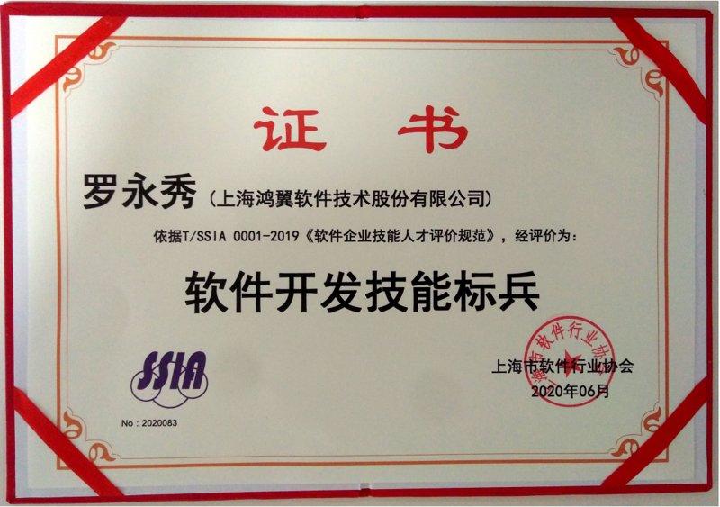 上海软件开发行业观察：技术与创新的双重奏